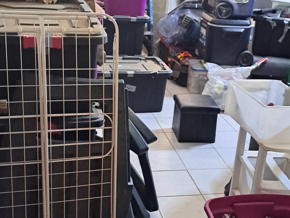 Boxes, bins, and&nbsp;bags